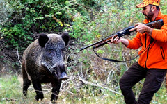 Hunting and Its Effects to the Environment and Society